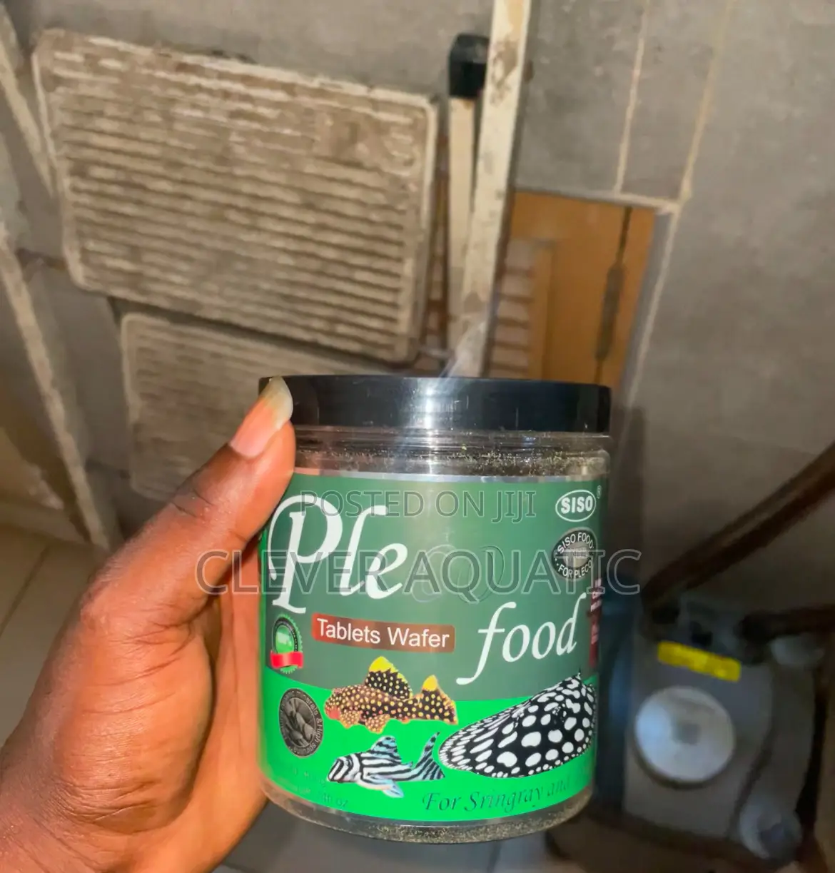 Pleco Tablet Food