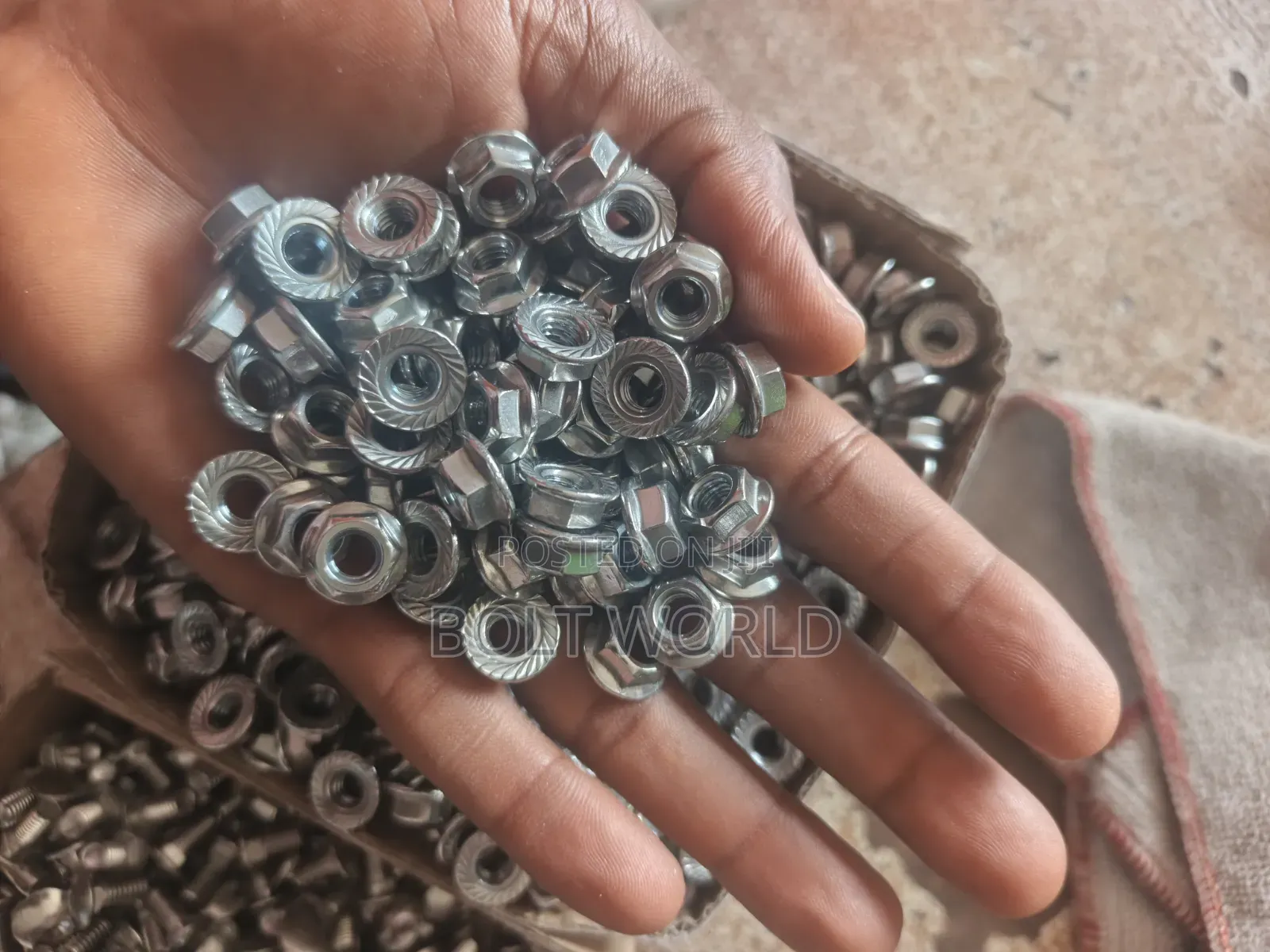 M6*12 Stainless Coach Bolt (304)