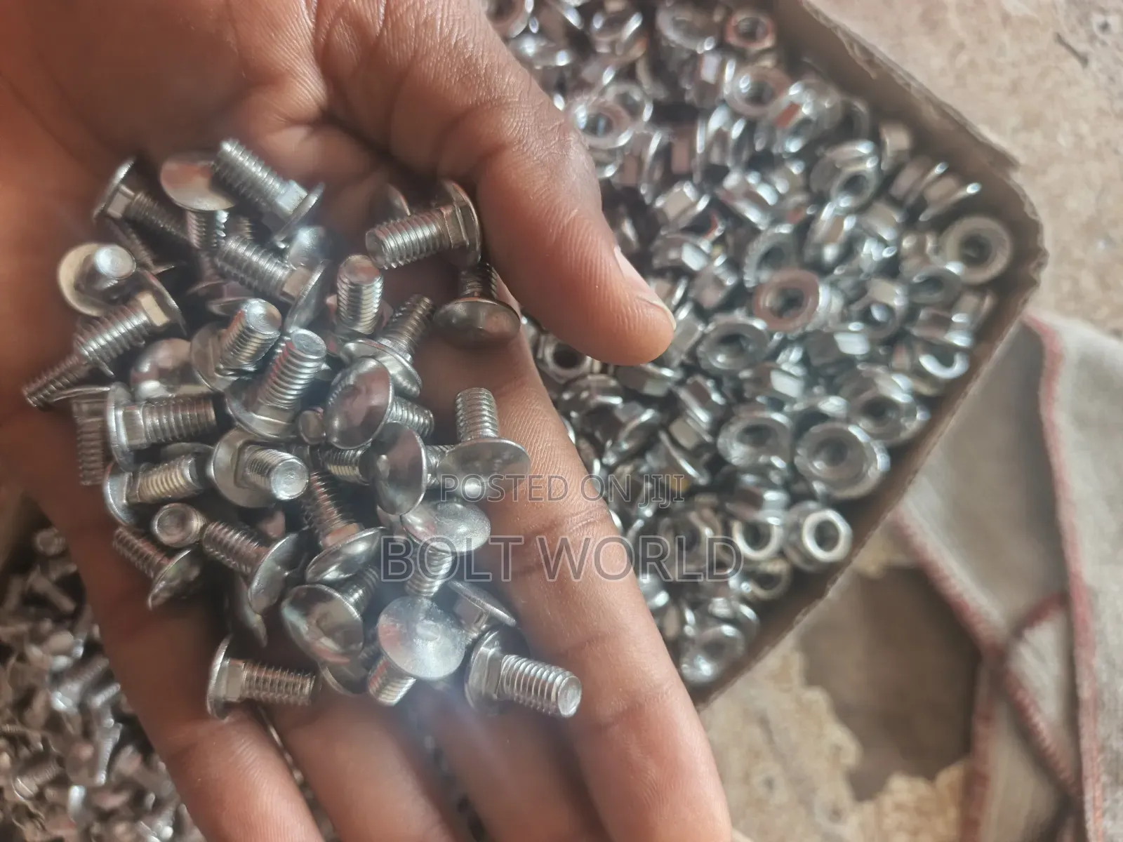 M6*12 Stainless Coach Bolt (304)