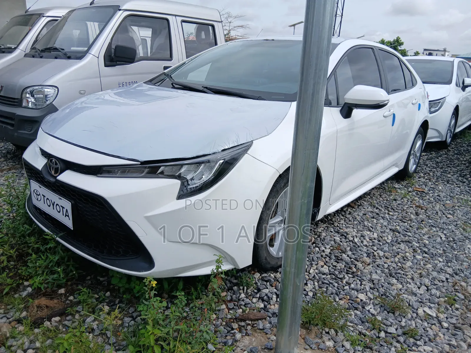 Toyota Corolla LE 2021 White