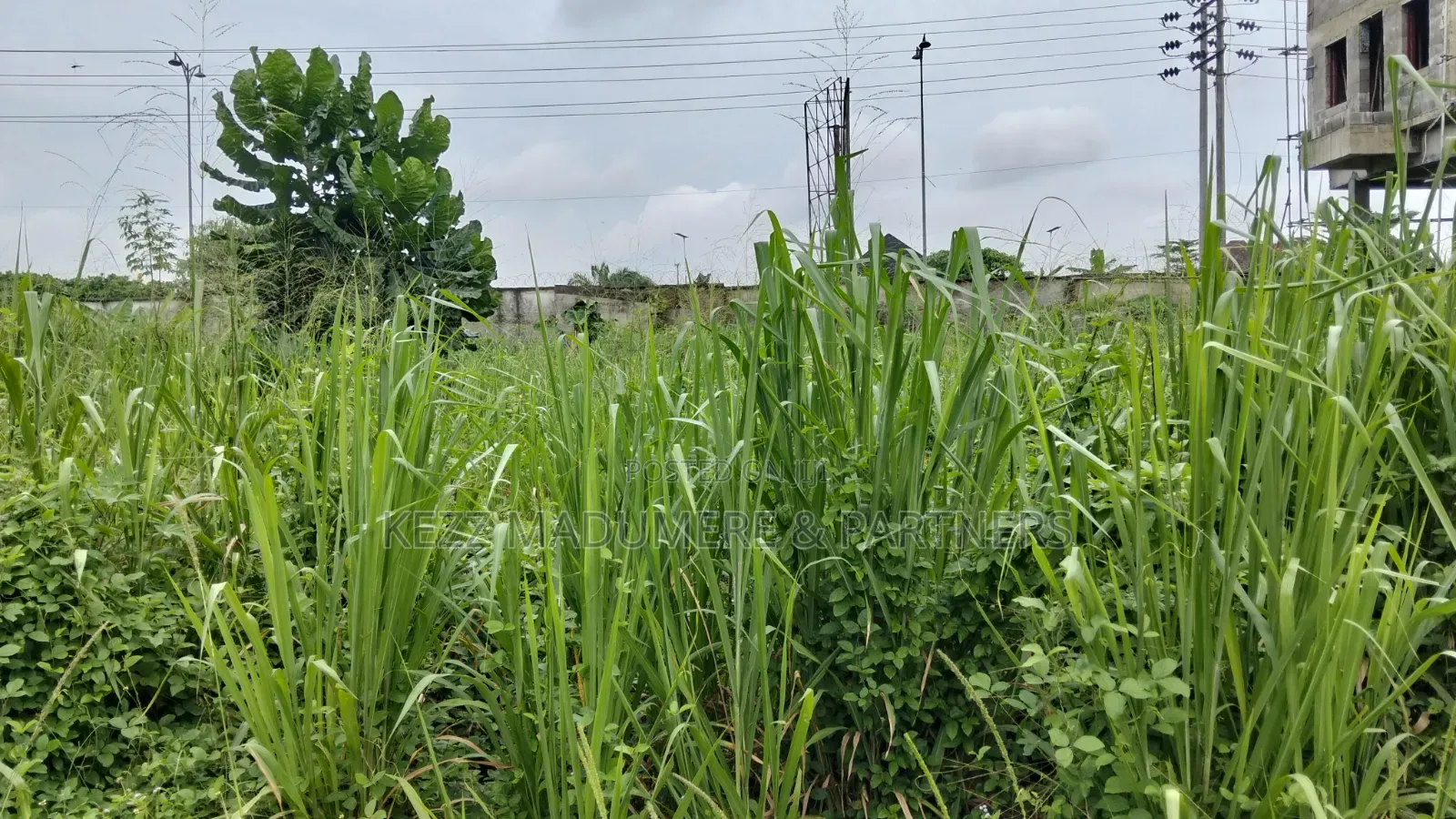 For Sale: 550 SQMTRS at Gra Phase 8 Eliozu, Ph