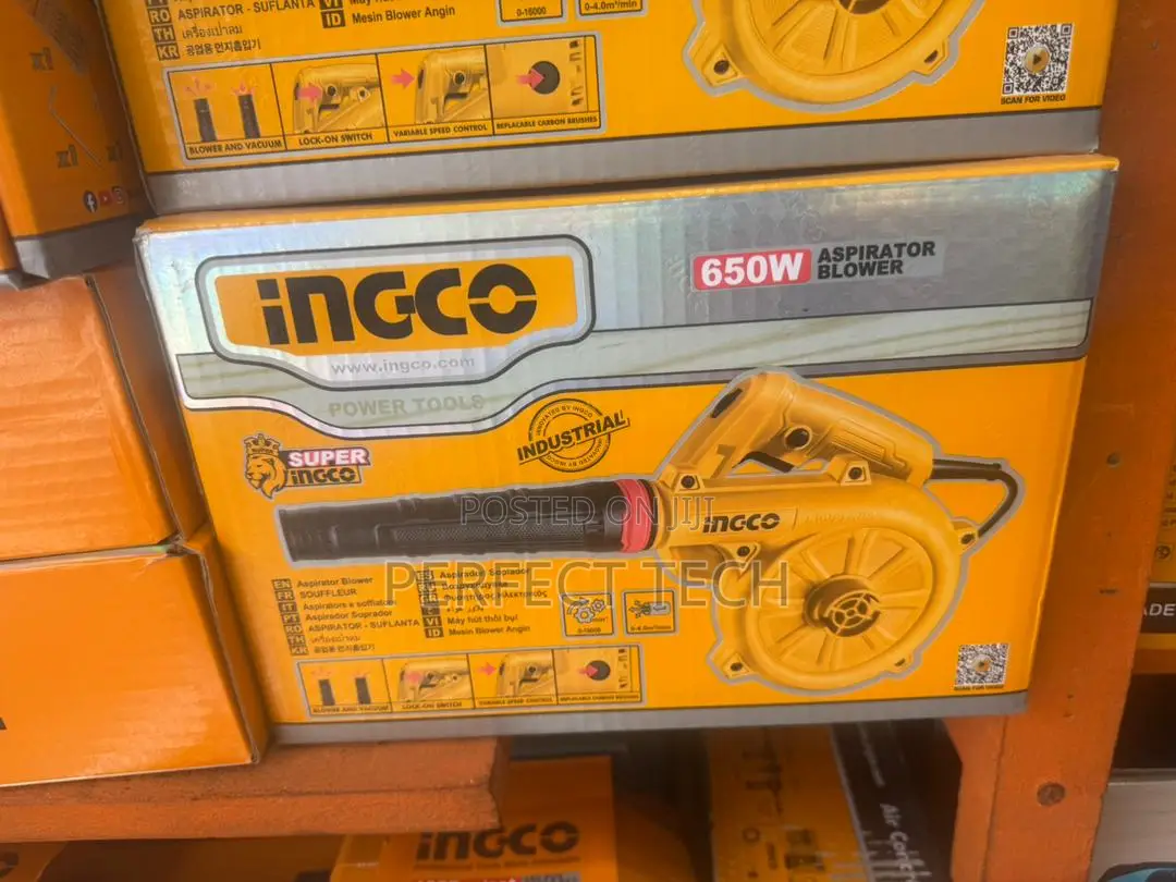 Ingco Aspirator Blower, 650w