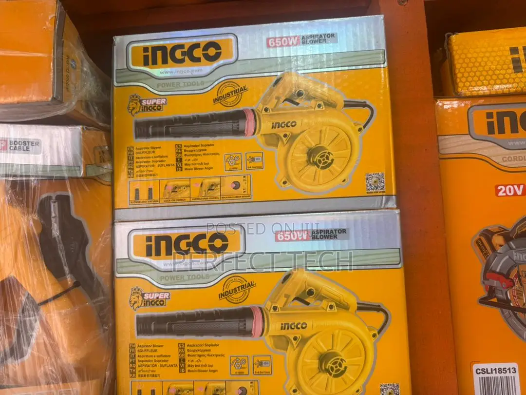 Ingco Aspirator Blower, 650w