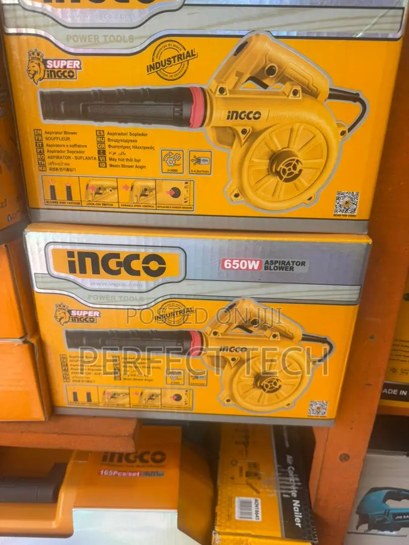 Ingco Aspirator Blower, 650w