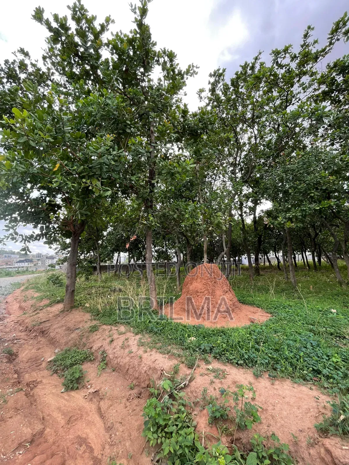 2500sqm Land In Lifecamp For Sale