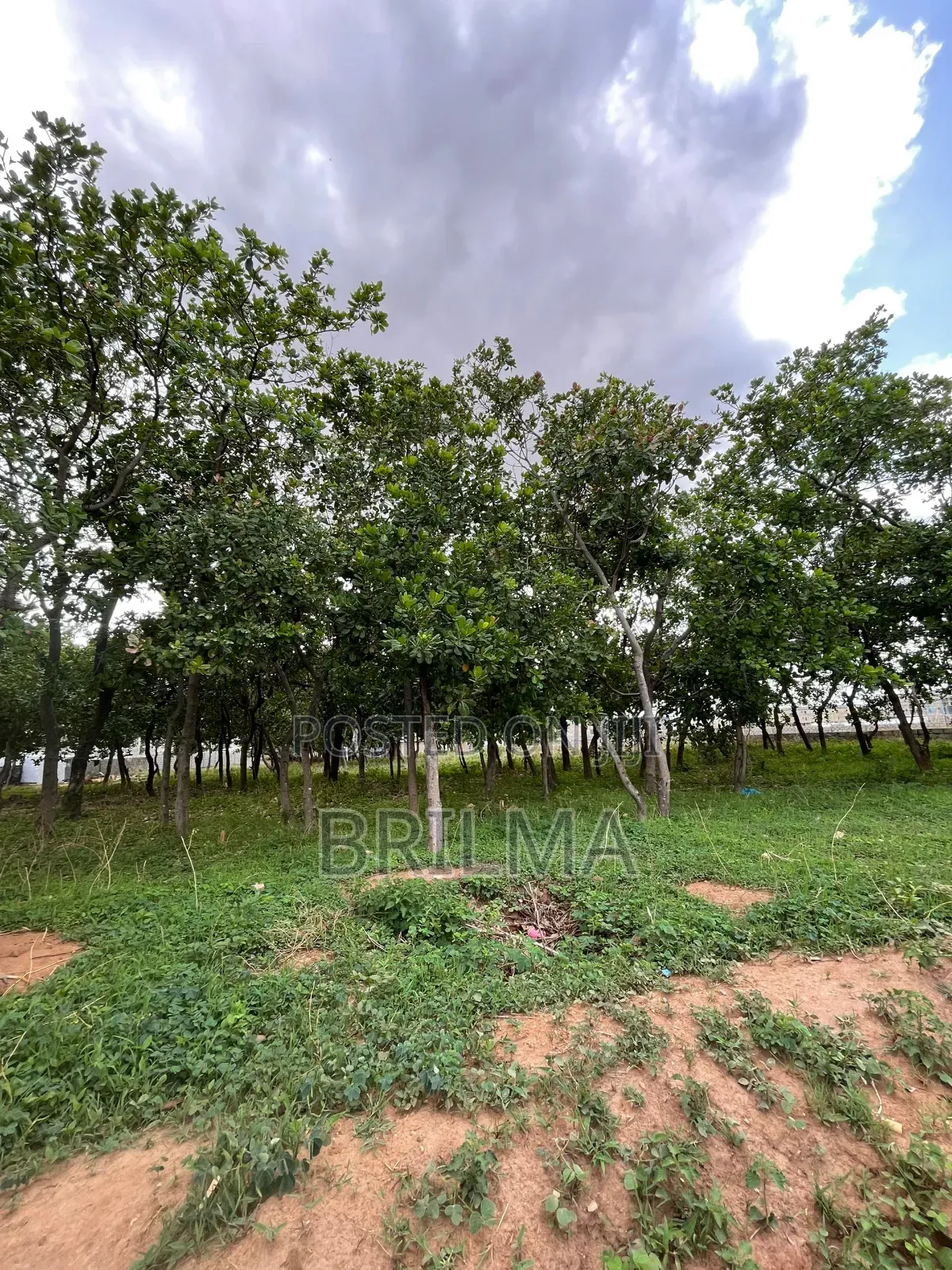 2500sqm Land In Lifecamp For Sale