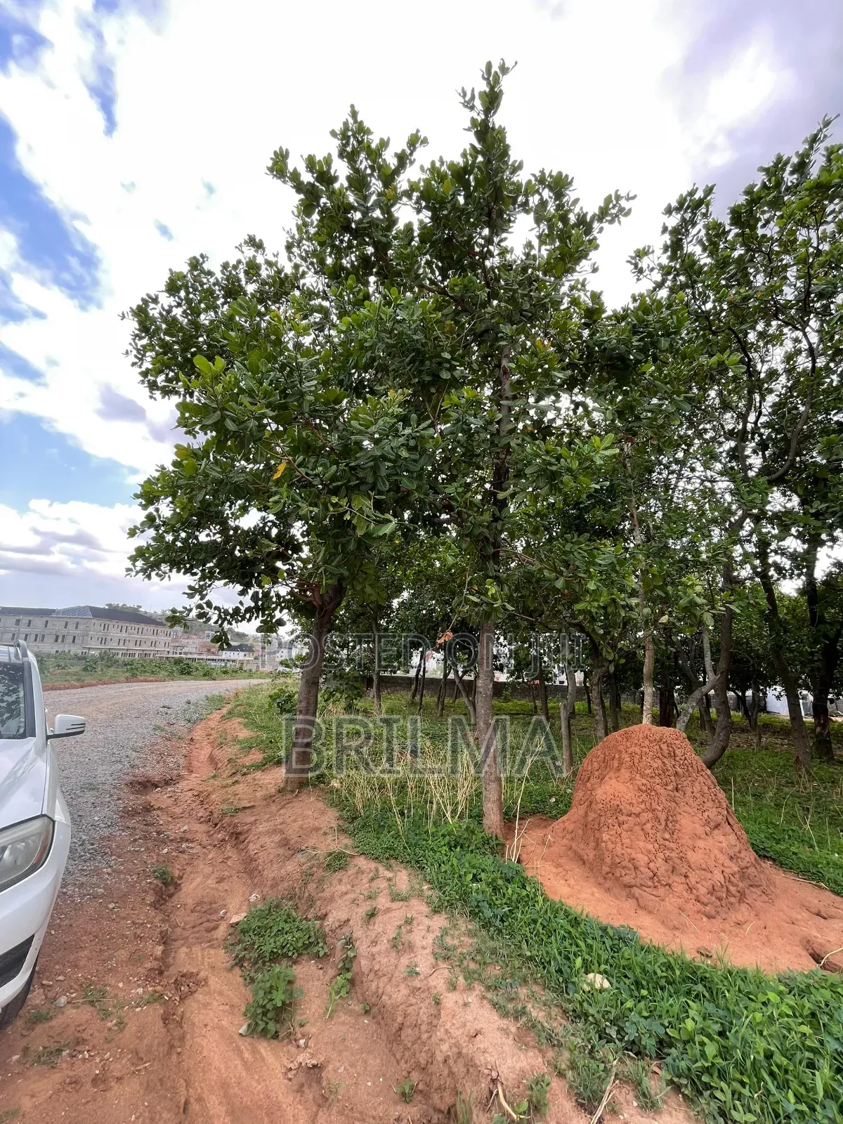 2500sqm Land In Lifecamp For Sale