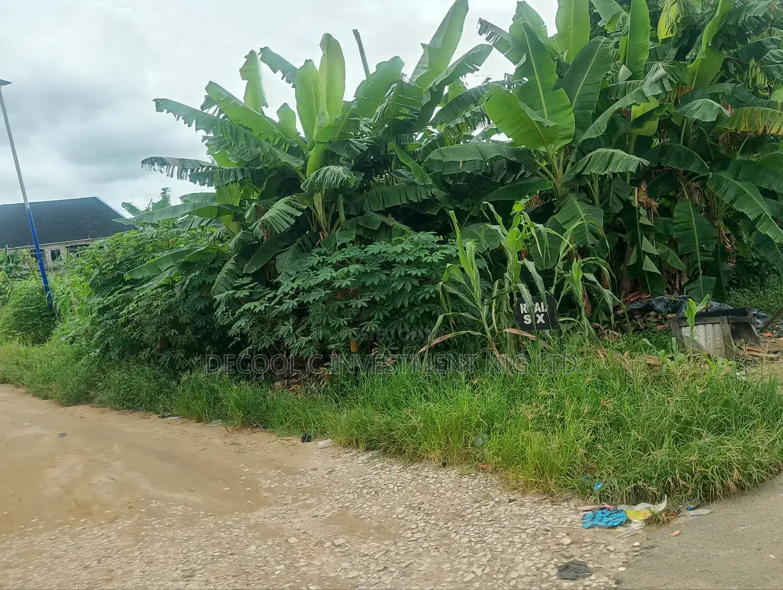 3 Plots of Land
