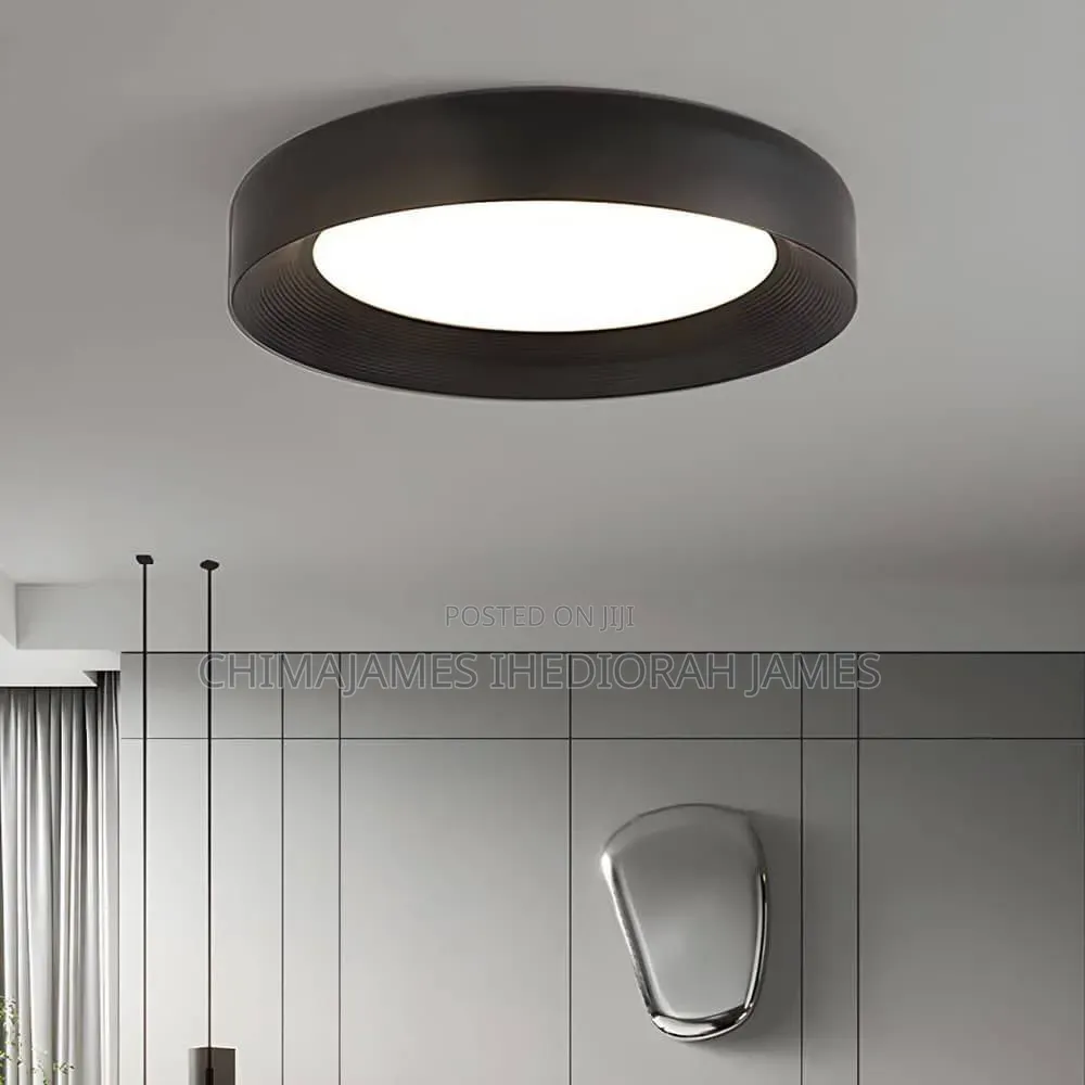Nordic Ceiling Light Modern Led Simple Lamps for Living Room Bedroom