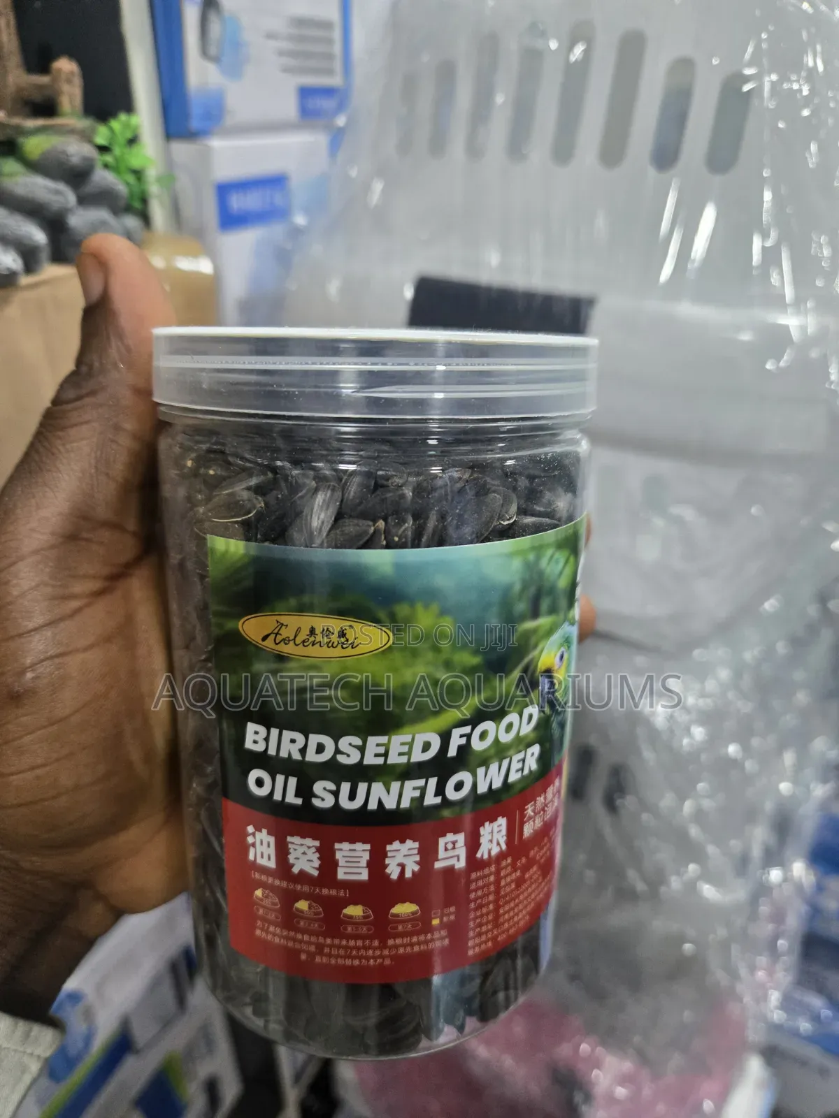 Sunflower Oil Seed Food for Parrot