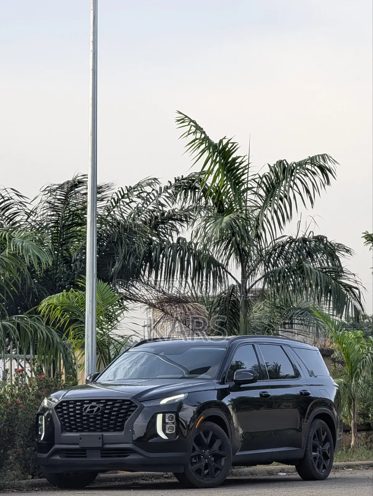 Hyundai Palisade 2019 Black