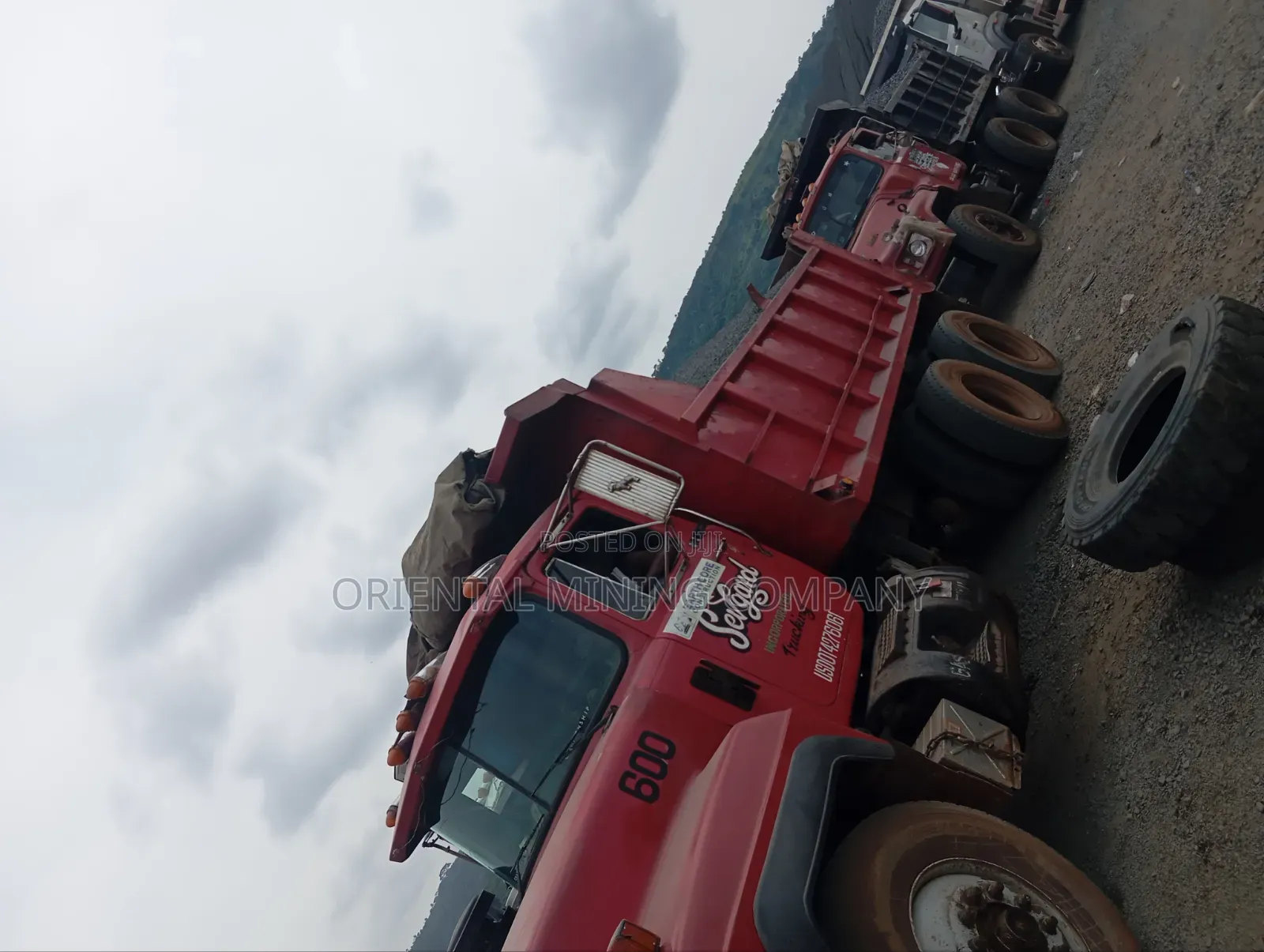 China Oriental Mining and Natural Resources Company Nig LTD Iron Chipp