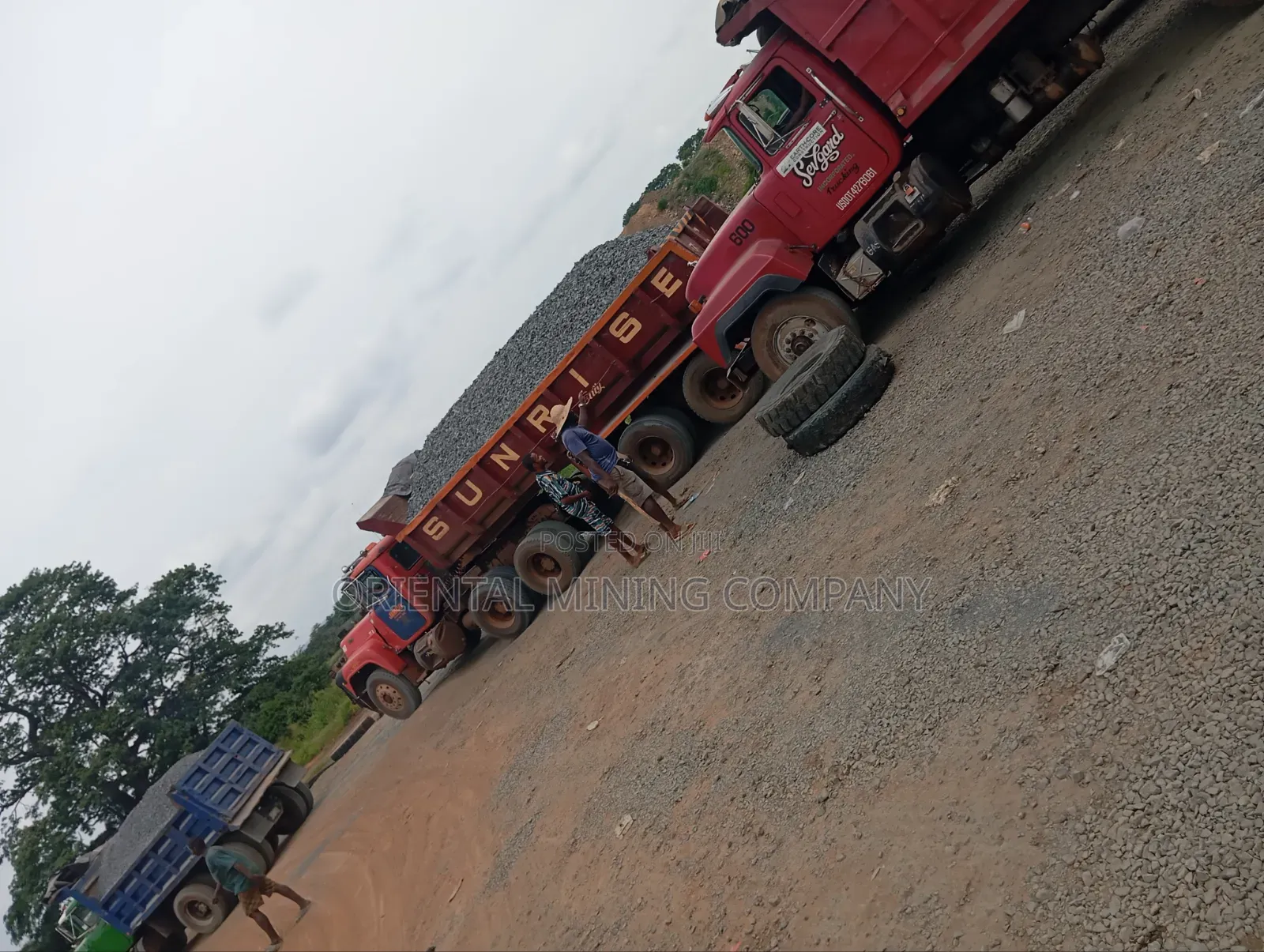 China Oriental Mining and Natural Resources Company Nig LTD Iron Chipp