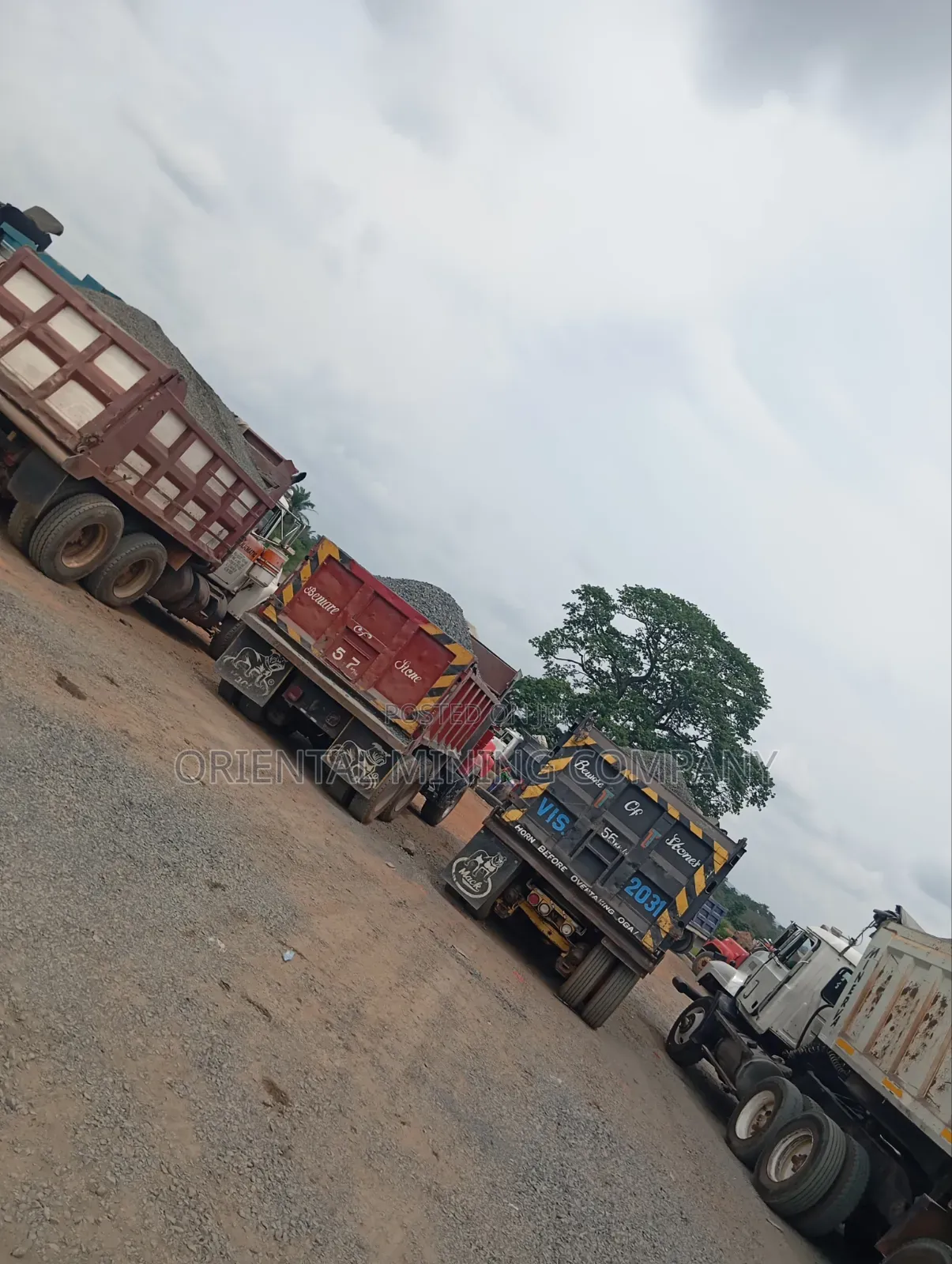 China Oriental Mining and Natural Resources Company Nig LTD Iron Chipp