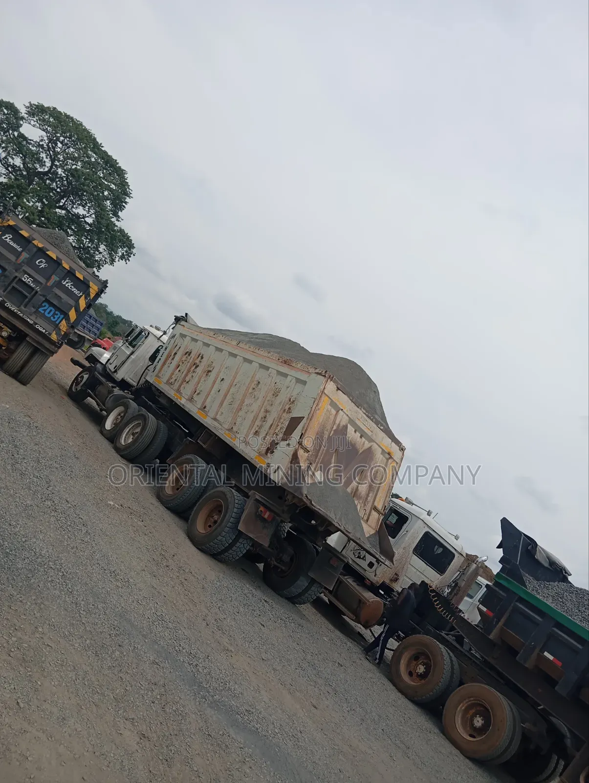 China Oriental Mining and Natural Resources Company Nig LTD Iron Chipp