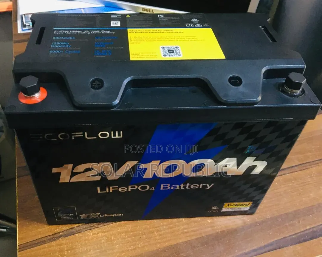 Ecoflow Lithium Battery 100a 12v