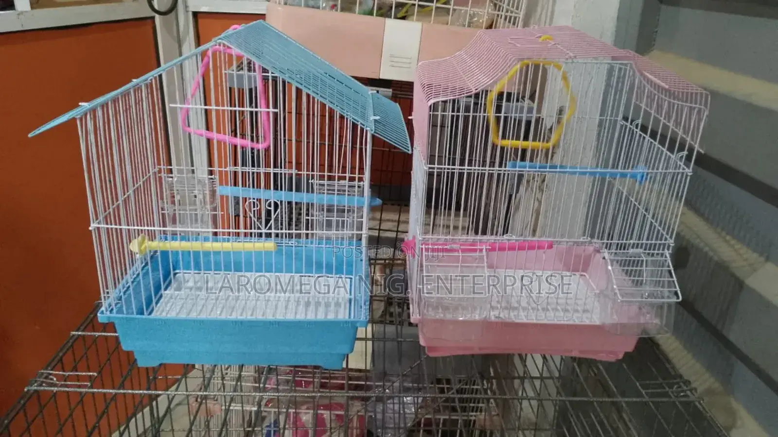 Bird Cages