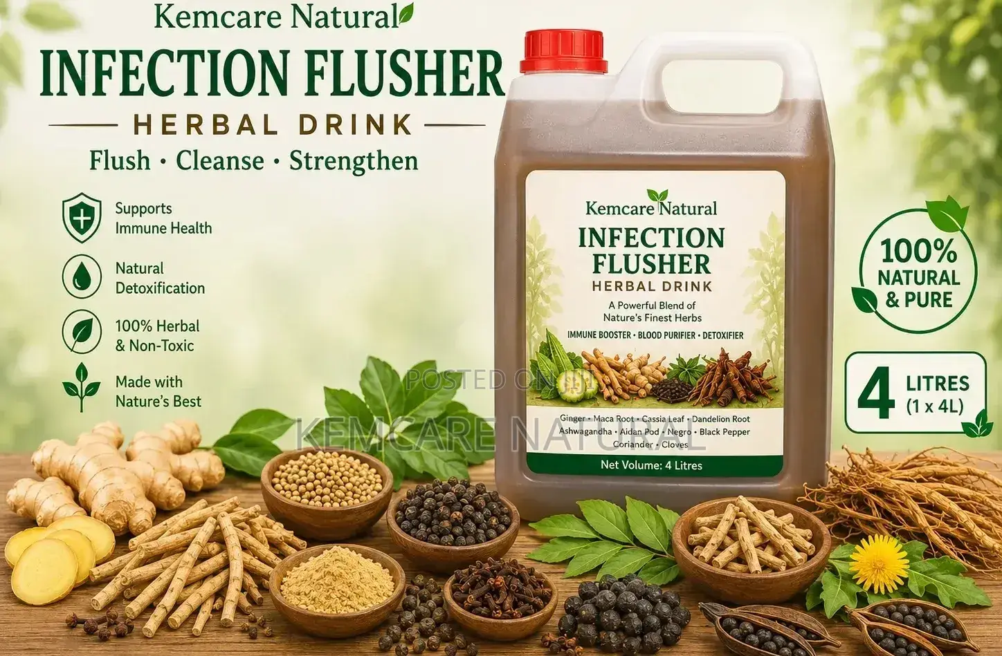 Infection Flusher E.Coli Candida Yeast Staph Kemcare Herbal Drink