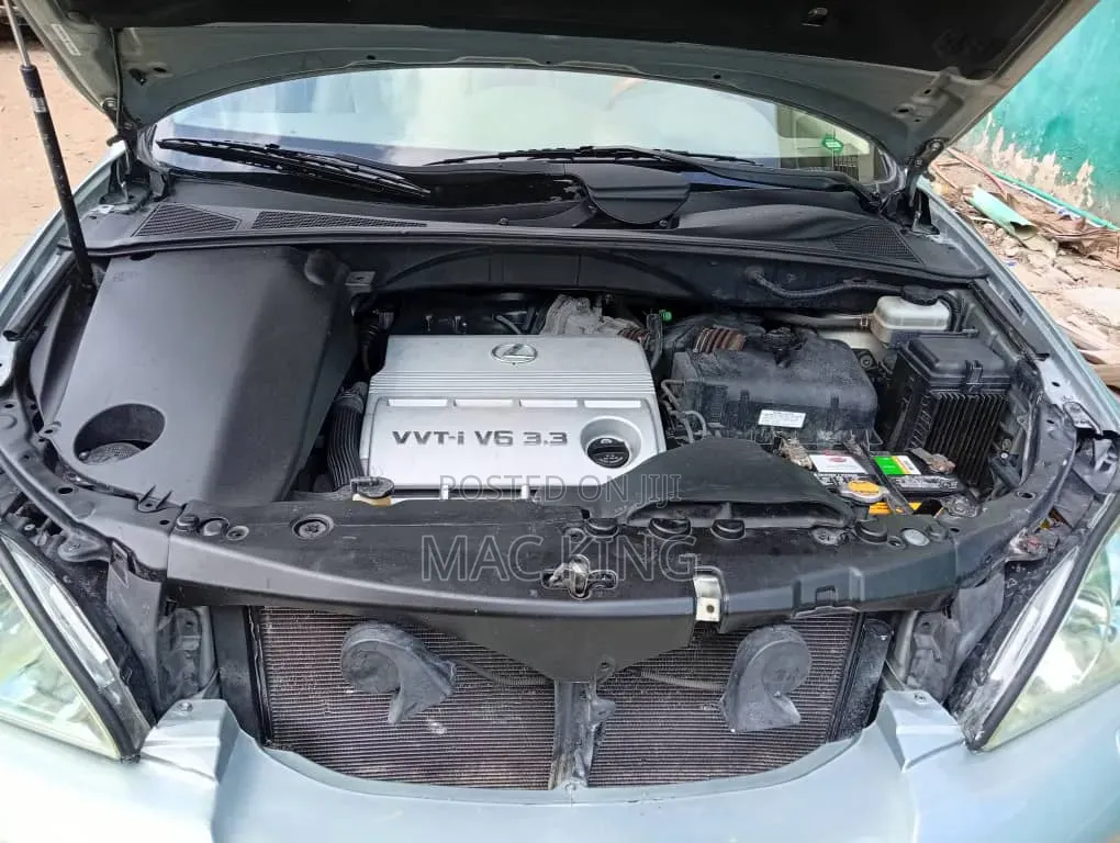 Lexus RX 330 2006 Silver