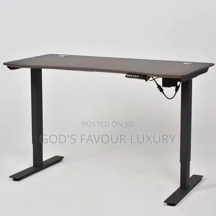 Sit-Stand Smart Gaming Desk (Motorised Adjustable)