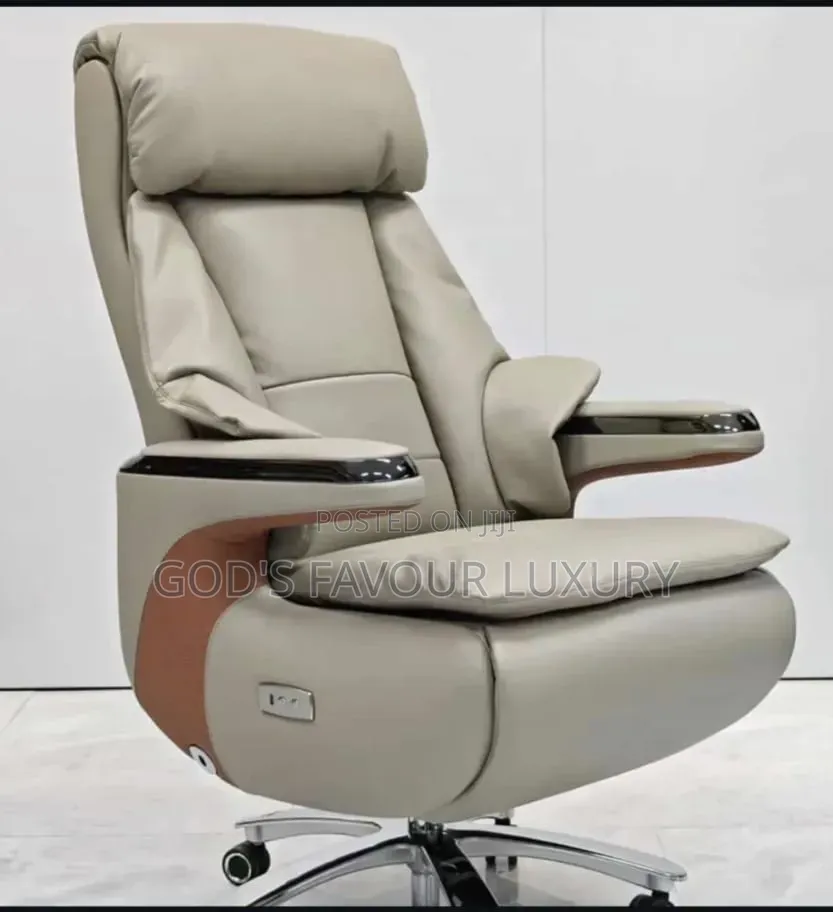 Executive Office Recline Chair.