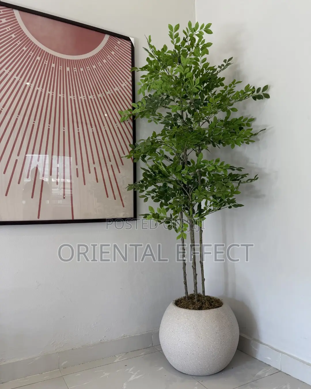 Artificial Pumila Tree in Beacon Big Orbis Pot - Modern Interiors