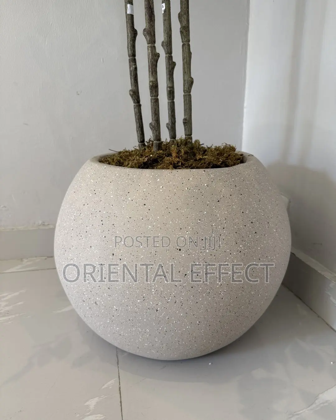 Artificial Pumila Tree in Beacon Big Orbis Pot - Modern Interiors