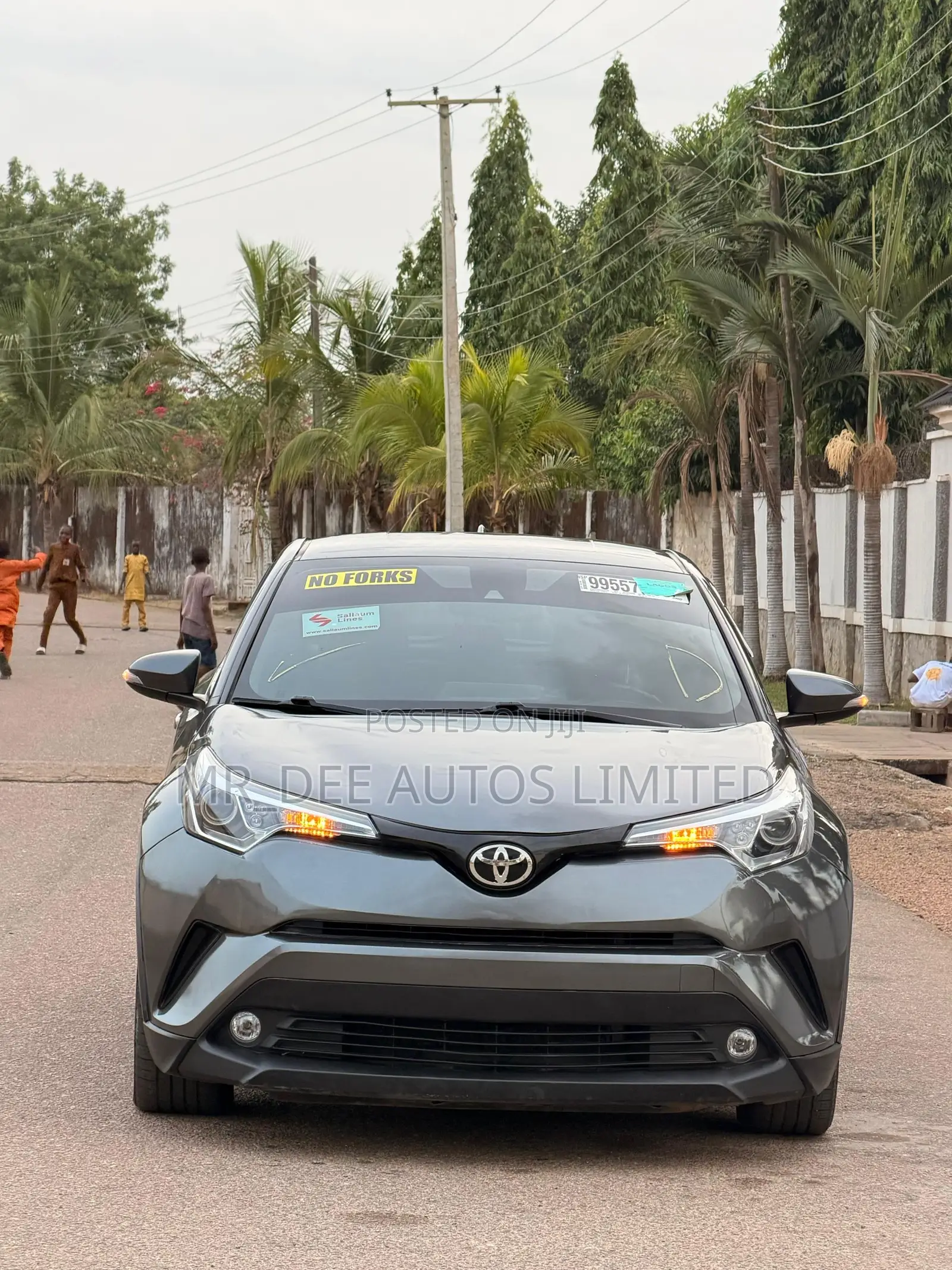 Toyota C-HR 2017 Gray