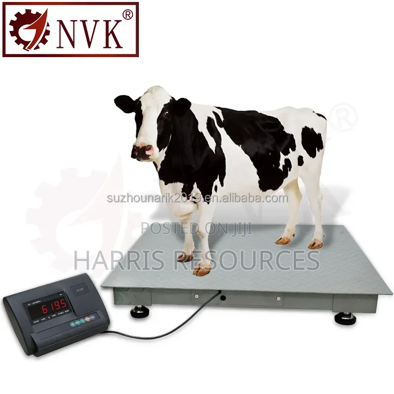 1- 5 Tonne Industrial Digital Platform Weighing Scale
