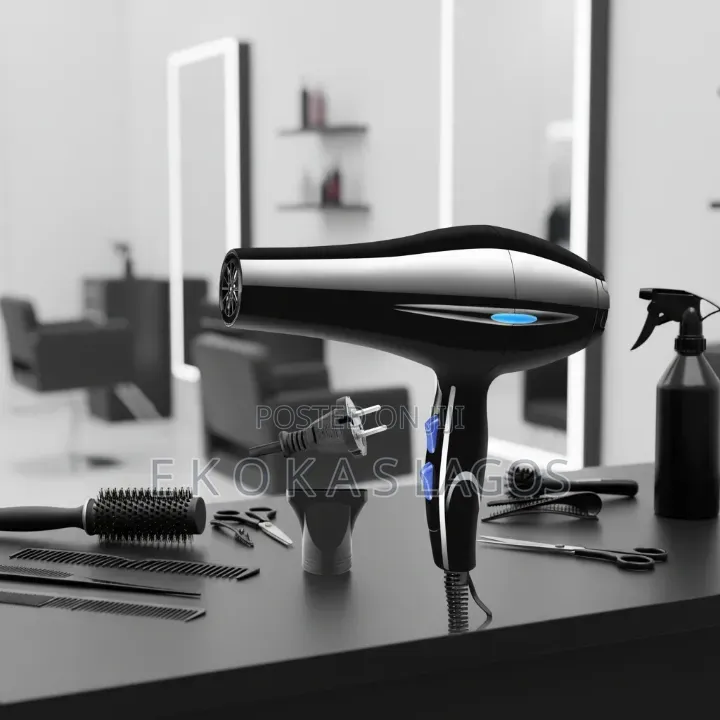 Complete Set Salon and Home Professional Hair Dryer