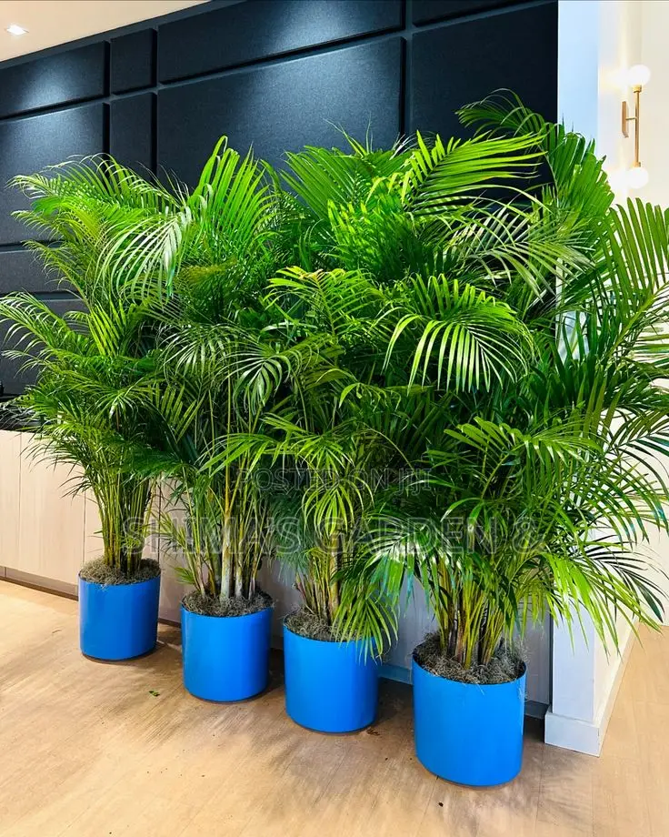 Horticultural Services