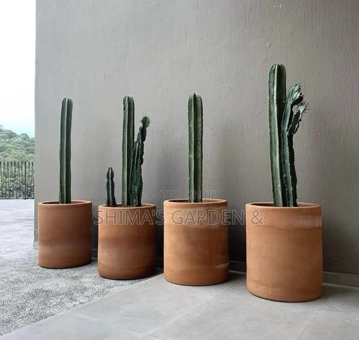 Horticultural Services