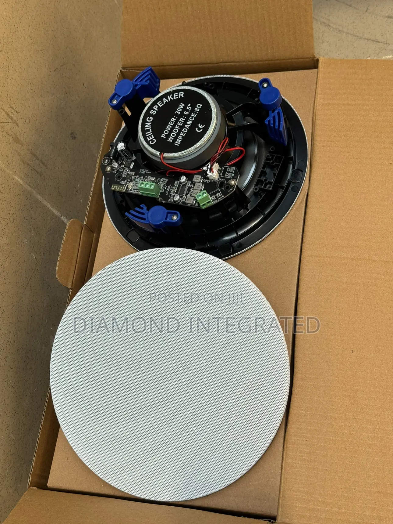 Frameless 2 in 1 Bluetooth Ceiling Speaker