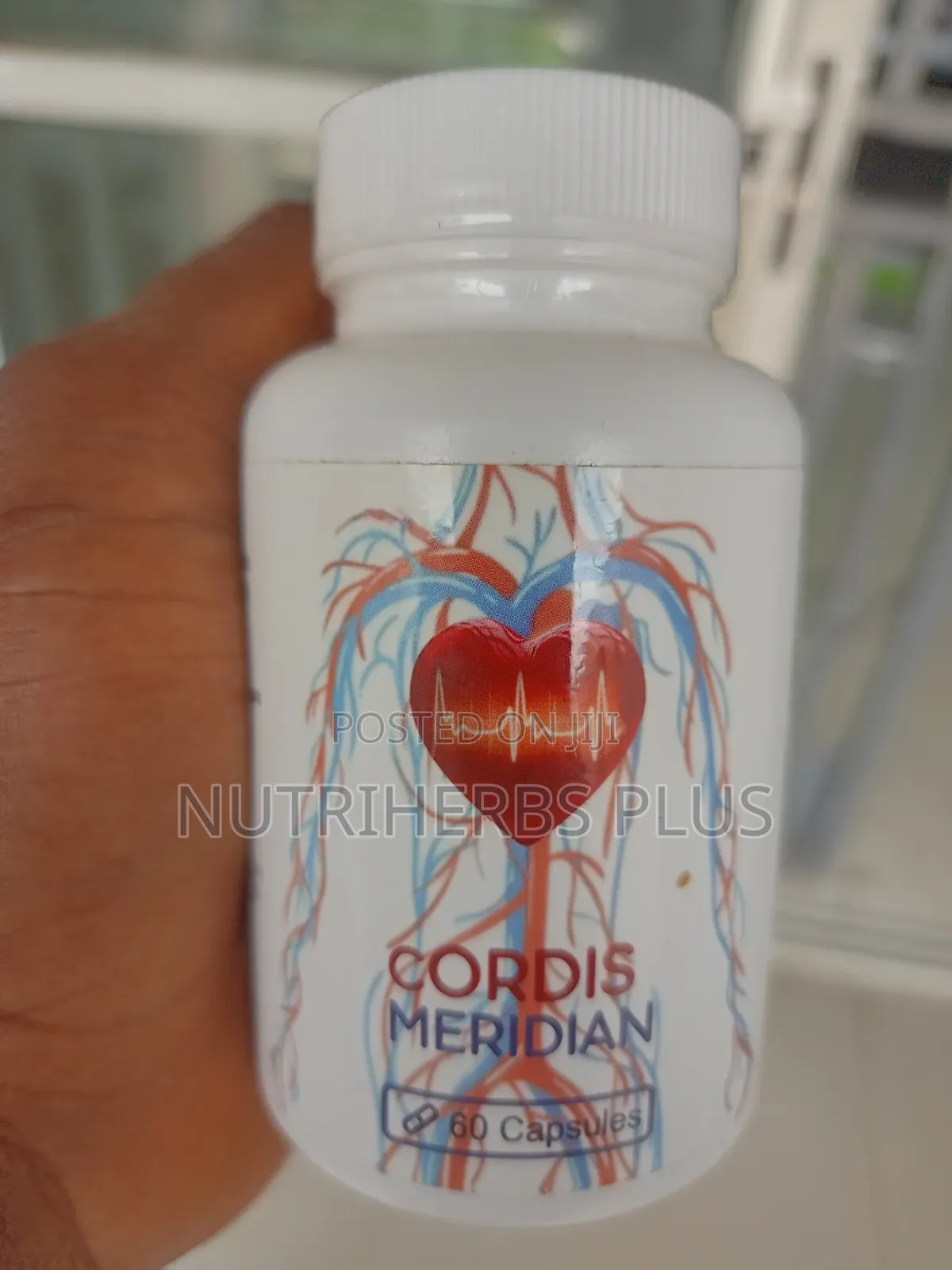 Cordis Meridian Capsules: Normalize Blood Pressure Balance Blood Sugar