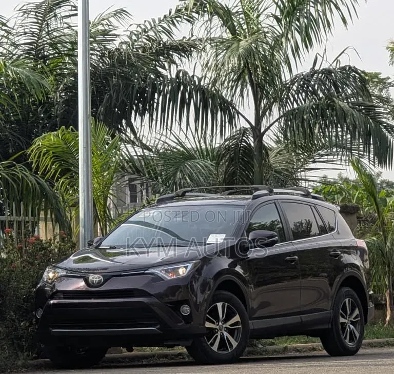 Toyota RAV4 XLE 4dr SUV (2.5L 4cyl 6A) 2018 Brown