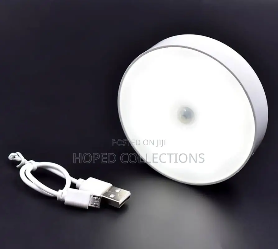 Body Induction Light