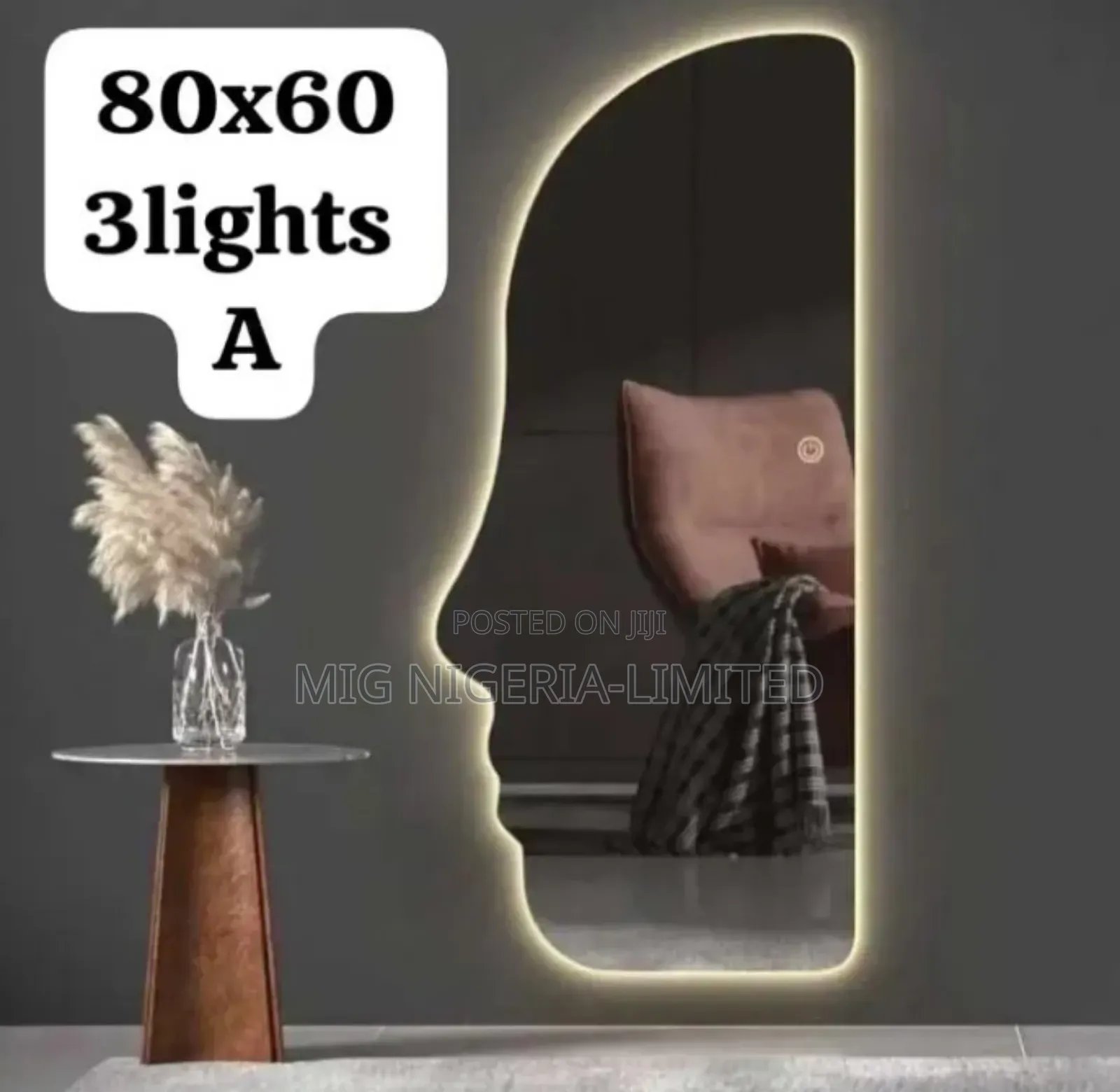 Led Bathroom and Living Room Mirror