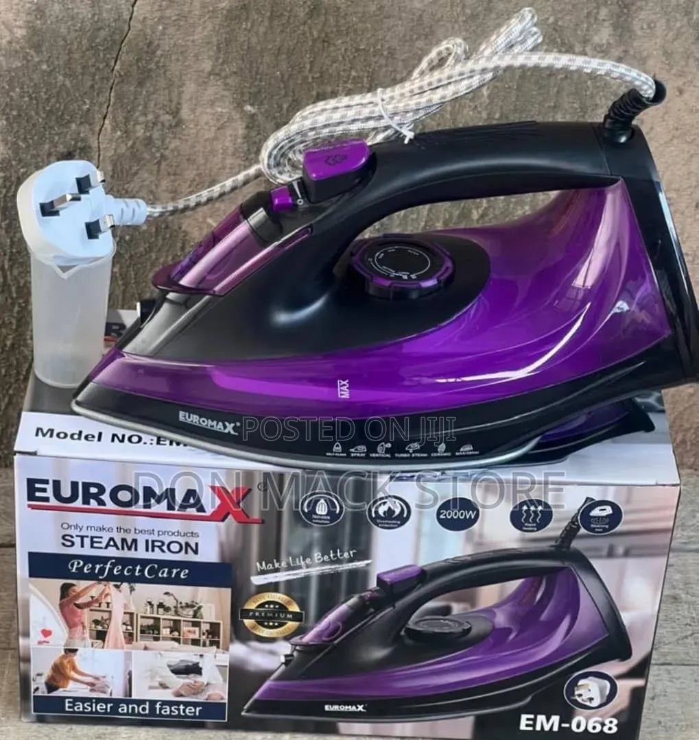 Euromax Steam Iron