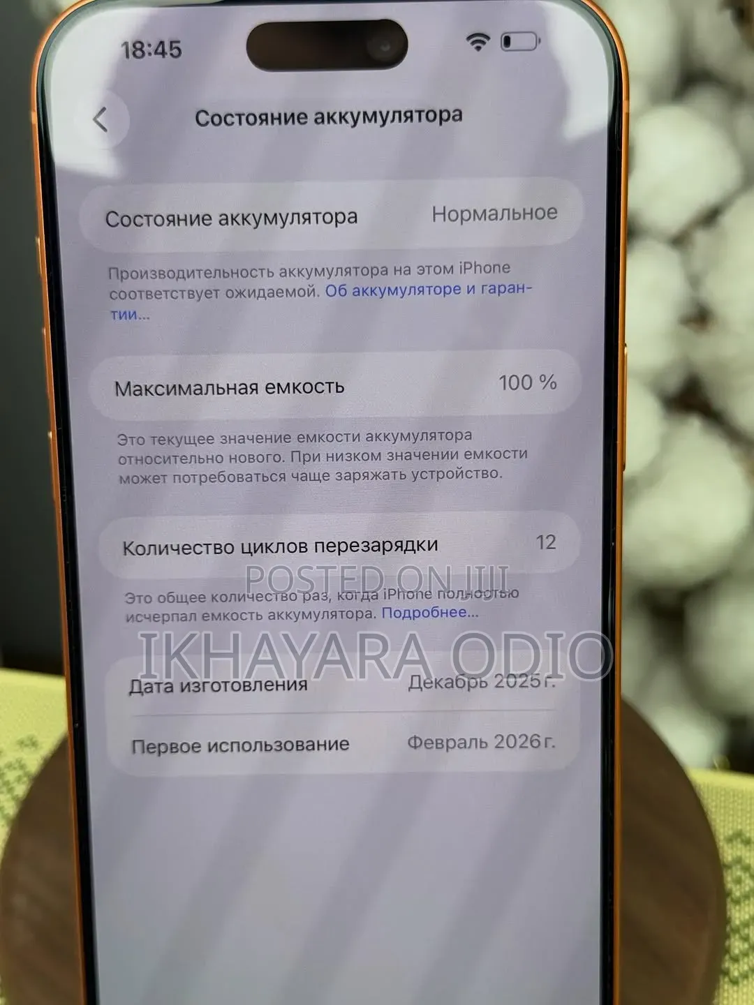 Apple iPhone 17 Pro Max 256 GB Orange