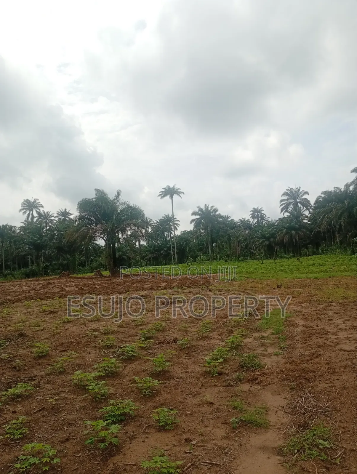 Land for Sale