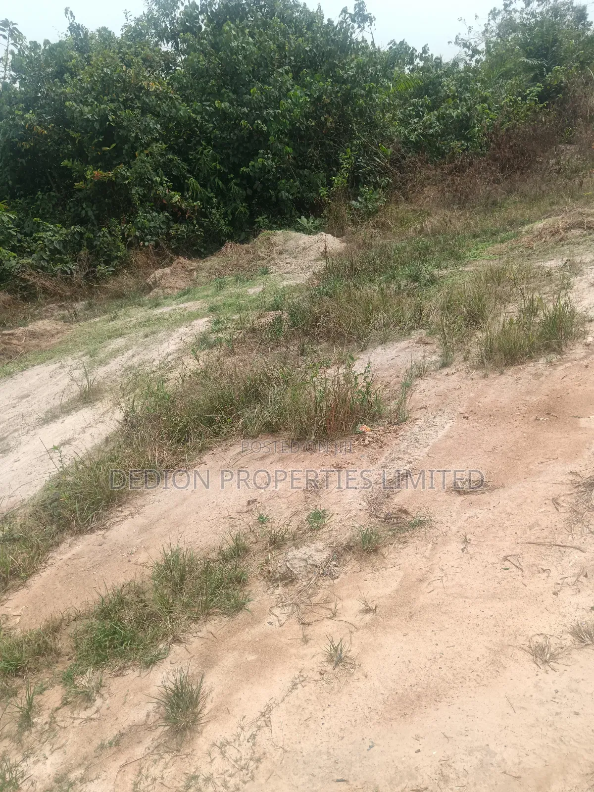Isiwo Land With Registered Survey And Deed Of Assignment