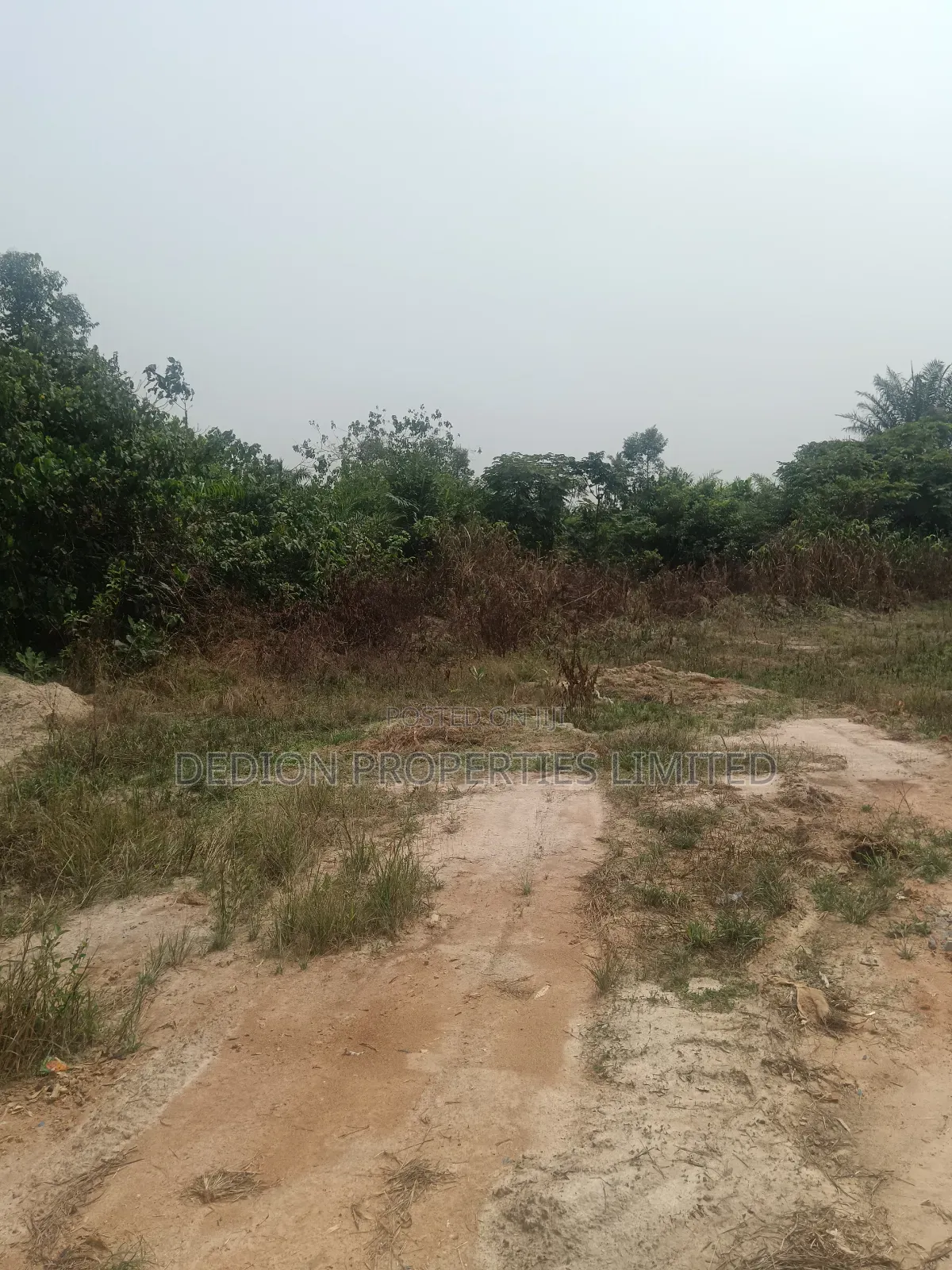 Isiwo Land With Registered Survey And Deed Of Assignment
