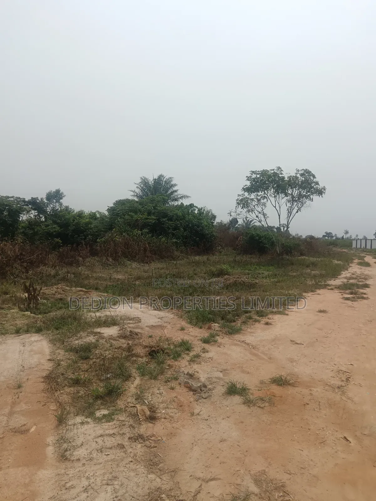 Isiwo Land With Registered Survey And Deed Of Assignment