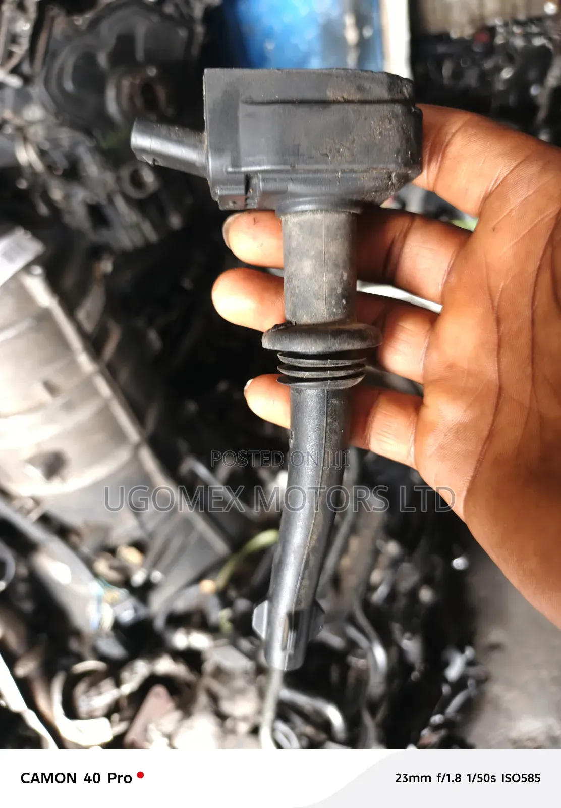 Coil Range Rover 2010/2014