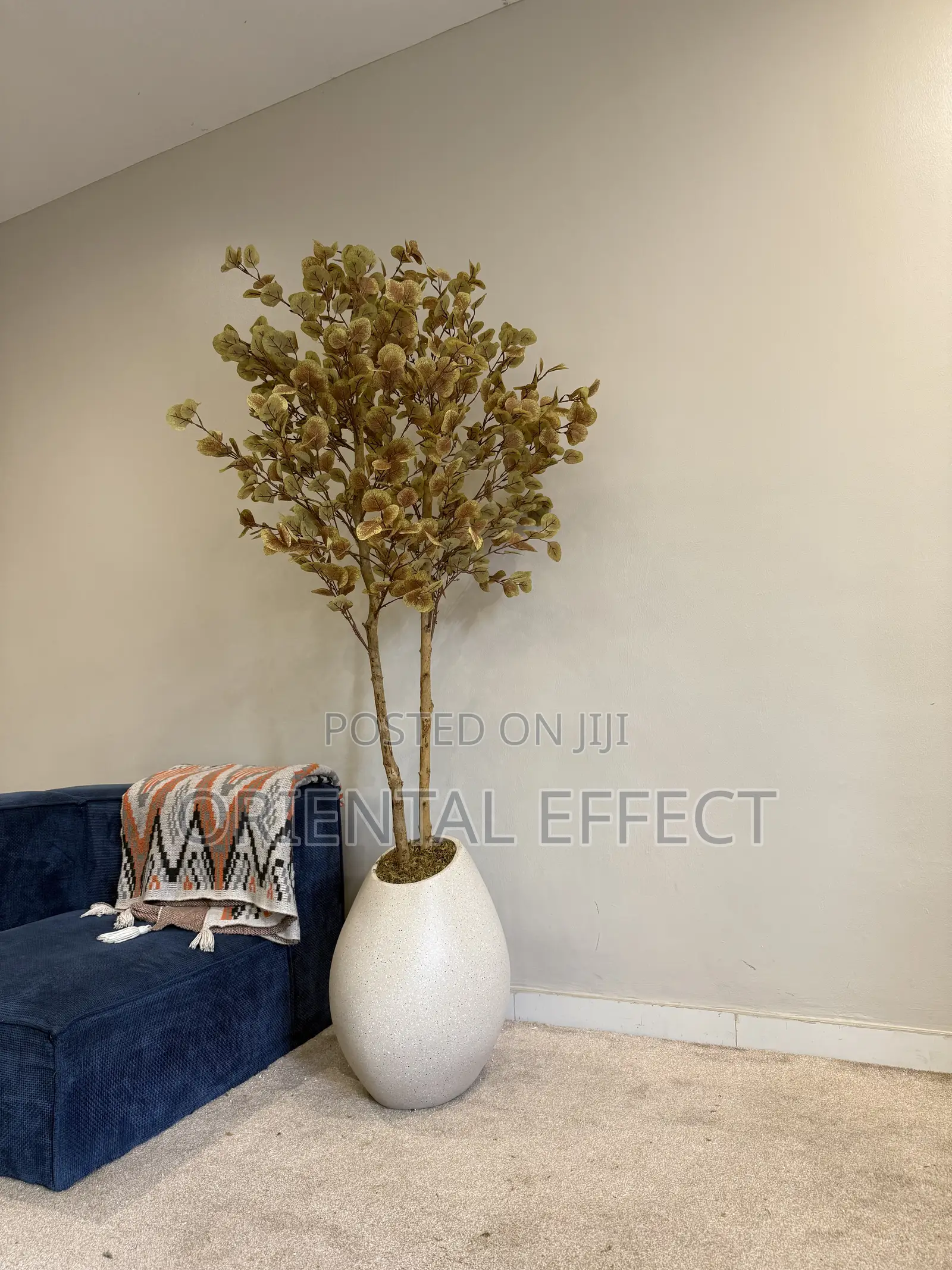 Beacon Mango Pot Artificial Money Tree | Artificial Plant in Nigeria