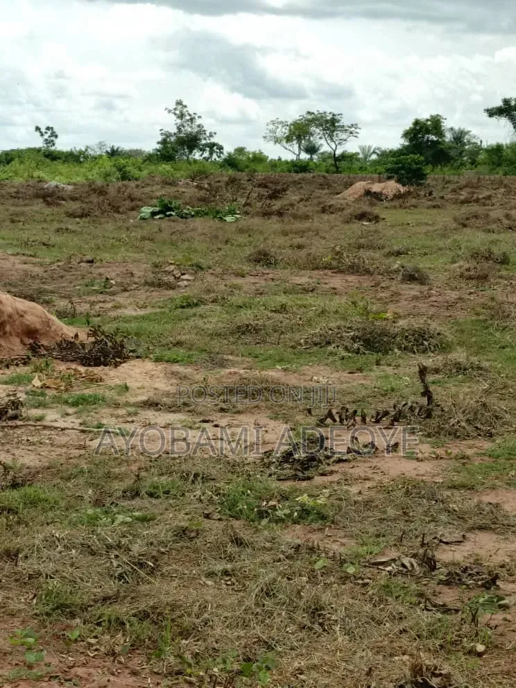 4 Plots Fence Together at Aton Ota