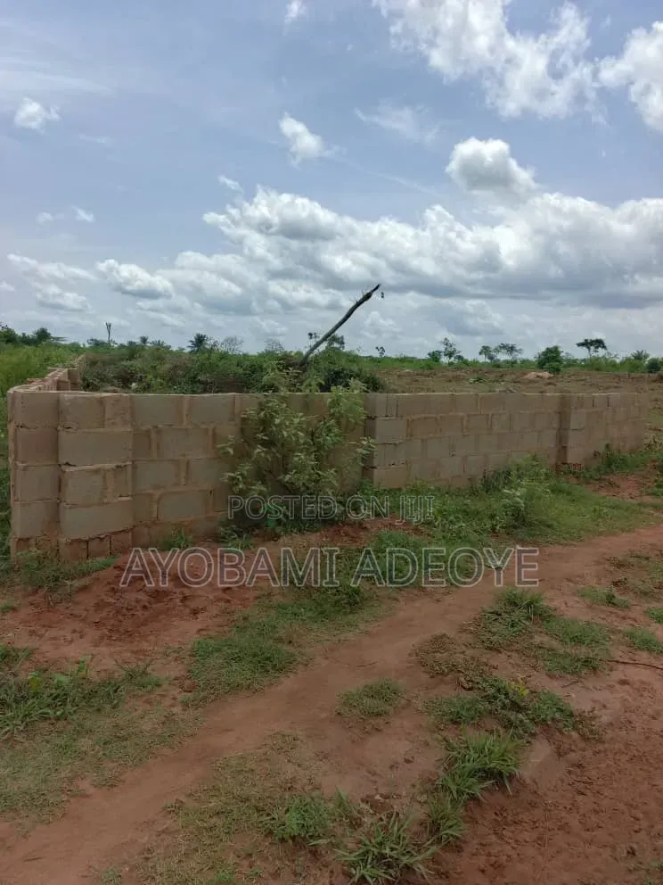 6 Plots Fence Together at Ifo