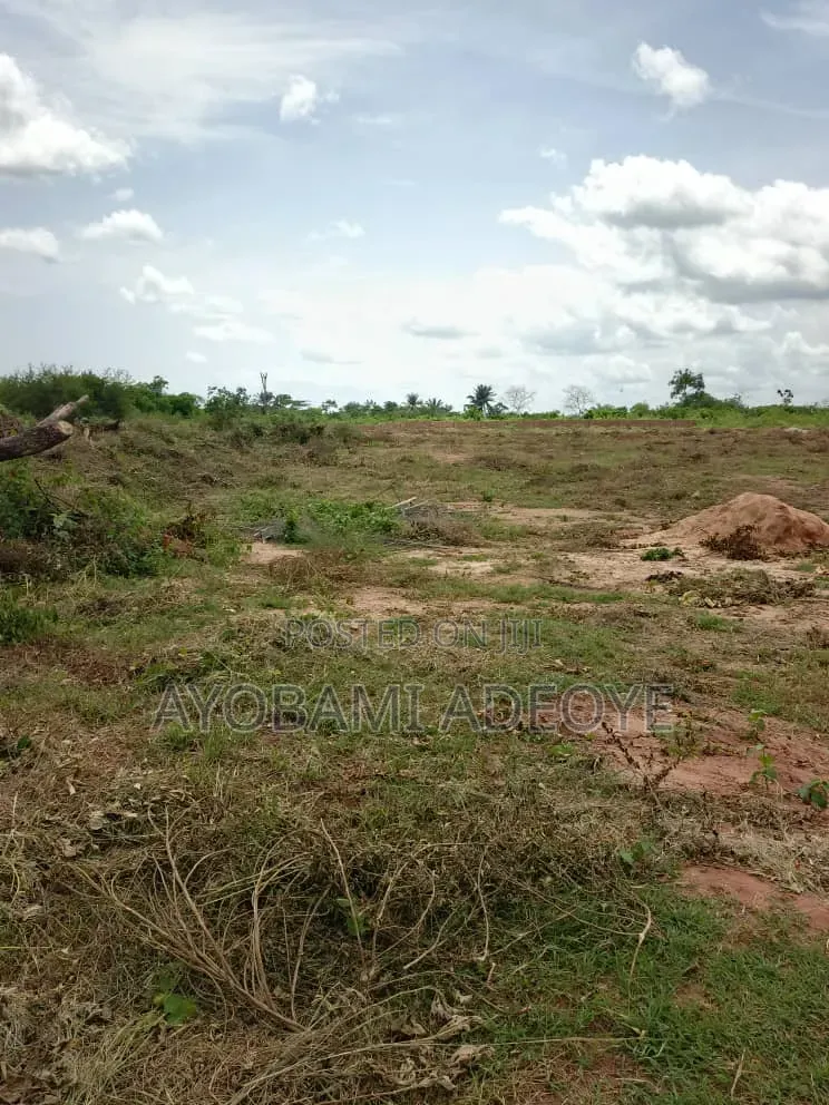 6 Plots Fence Together at Ifo