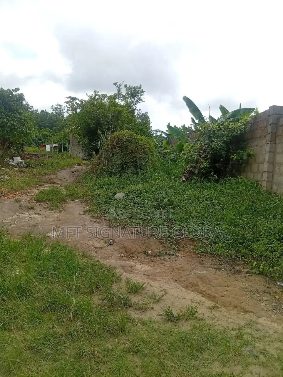 4 Plots of Farm Land