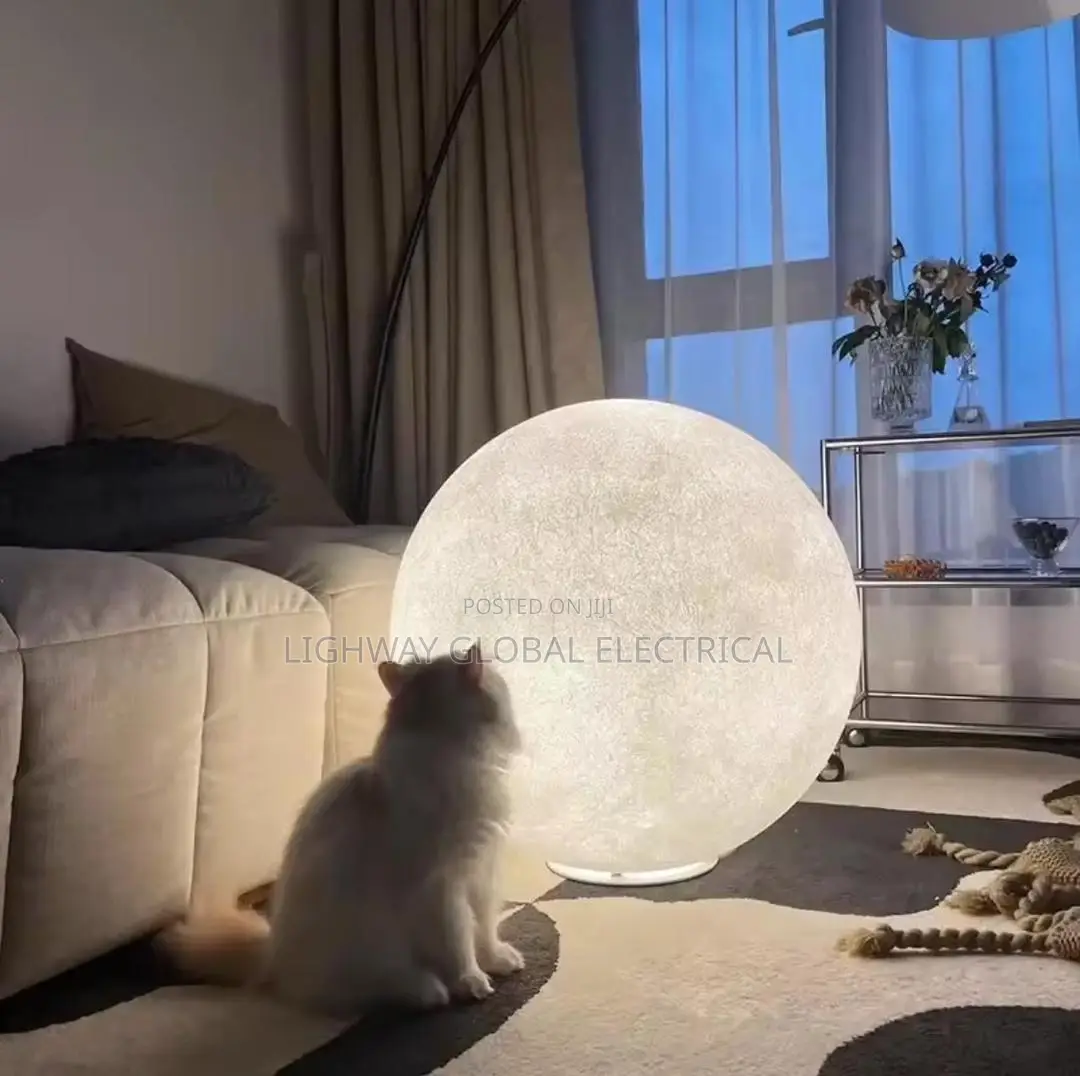 Indoor/Outdoor 2025 Nordic Moon Led Floor Lamp